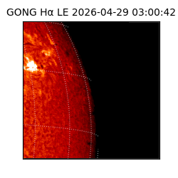 gong - 2026-04-29T03:00:42