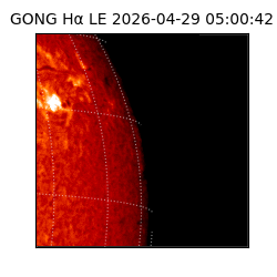 gong - 2026-04-29T05:00:42
