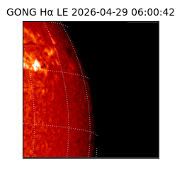 gong - 2026-04-29T06:00:42