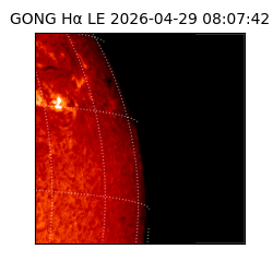 gong - 2026-04-29T08:07:42