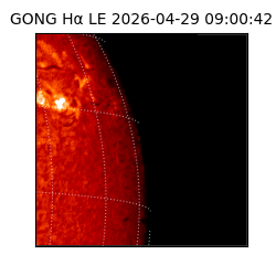 gong - 2026-04-29T09:00:42