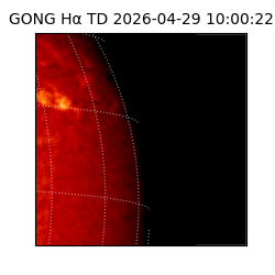 gong - 2026-04-29T10:00:22