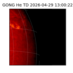 gong - 2026-04-29T13:00:22