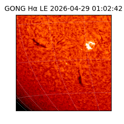 gong - 2026-04-29T01:02:42