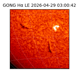 gong - 2026-04-29T03:00:42