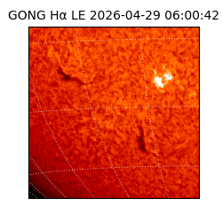 gong - 2026-04-29T06:00:42
