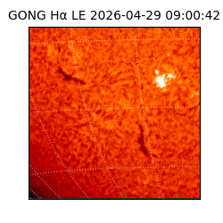 gong - 2026-04-29T09:00:42