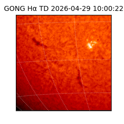 gong - 2026-04-29T10:00:22