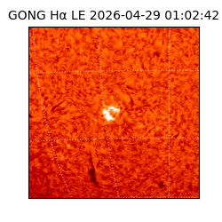gong - 2026-04-29T01:02:42