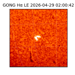 gong - 2026-04-29T02:00:42