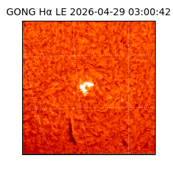 gong - 2026-04-29T03:00:42