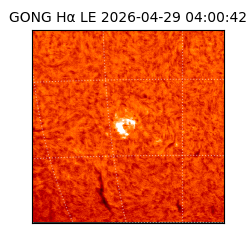 gong - 2026-04-29T04:00:42