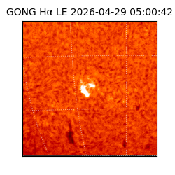 gong - 2026-04-29T05:00:42