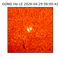 gong - 2026-04-29T06:00:42