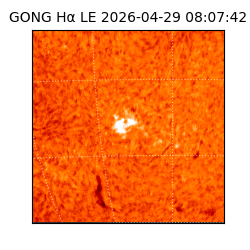 gong - 2026-04-29T08:07:42