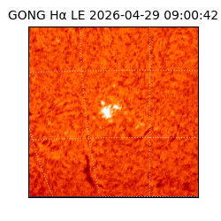 gong - 2026-04-29T09:00:42