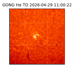 gong - 2026-04-29T11:00:22