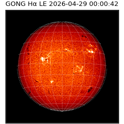 gong - 2026-04-29T00:00:42