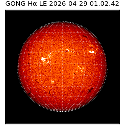 gong - 2026-04-29T01:02:42