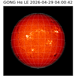 gong - 2026-04-29T04:00:42