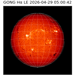 gong - 2026-04-29T05:00:42