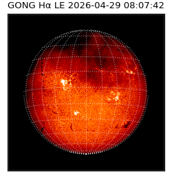 gong - 2026-04-29T08:07:42