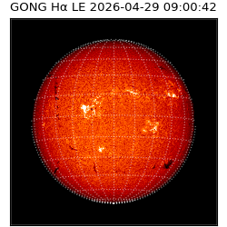 gong - 2026-04-29T09:00:42