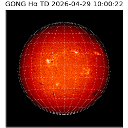 gong - 2026-04-29T10:00:22