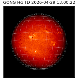 gong - 2026-04-29T13:00:22